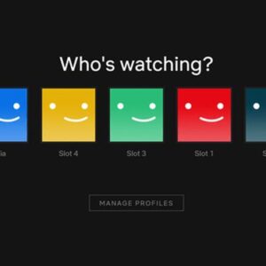 PROFIL NETFLIX
