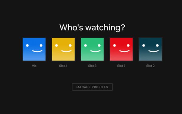 PROFIL NETFLIX